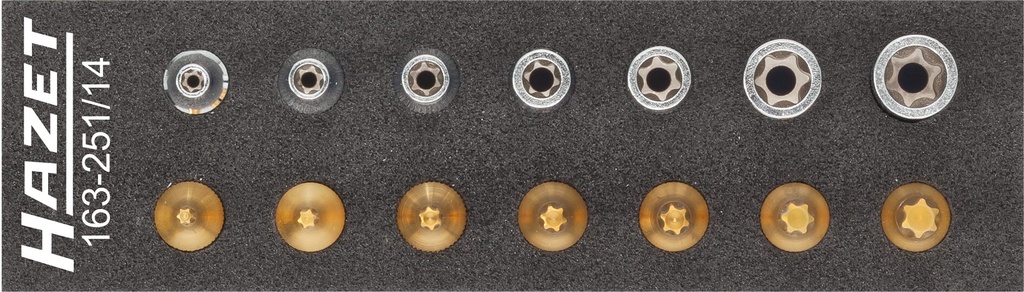 [163-251/14] HAZET Jeu d'outils · TORX® 163-251/14 ∙ Carré creux 1/4 pouce (6,3 mm) ∙ Profil TORX® extérieur, Profil TORX® intérieur ∙ 14 pièces ∙ E4 – E11 ∙ T10 – T40