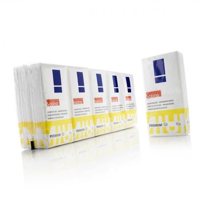 [⚠Déstockage] MOUCHOIR 4 PLIS EXTRA BLANC 1 pack de 10 étuis