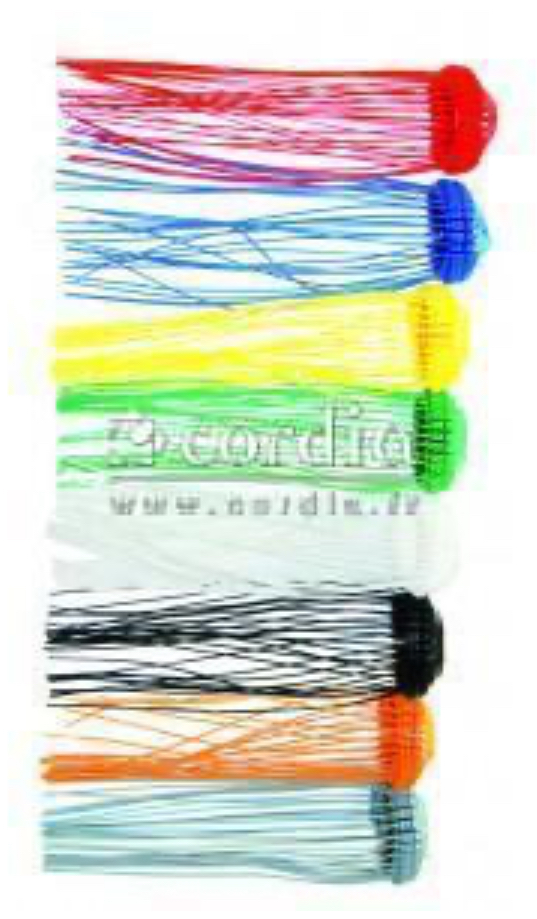 [IPPB0001] PLOMB PLASTIQUE BLEU LOT DE 300 (PIECE)