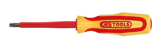 [117.0556] KSTools 117.0556 Tournevis isolé Torx, T30