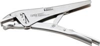 [493BG] BGS - 493 - Pince étau réglage rapide 4 fois 225 mm