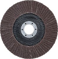 [3975BG] BGS - 3975 - Disque à lamelles Ø 125 mm K 60