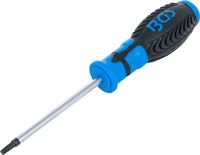[4920BG] BGS - 4920 - Tournevis profil T (pour Torx) T25 longueur de la lame 100 mm