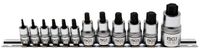 [5098BG] BGS - 5098 - Jeu de douilles à embouts extra courtes Profil T (pour Torx) T8 - T60 12 pièces