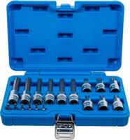 [5173BG] BGS - 5173 - Jeu de douilles à embouts 6,3 mm (1/4") / 12,5 mm (1/2") Profil T (pour Torx Plus) 18 p