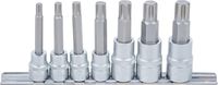 [5185BG] BGS - 5185 - Jeu de douilles à embouts 10 mm (3/8") / 12,5 mm (1/2") Profil cannelé (pour Ribe) M6 -