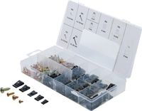[8114BG] BGS - 8114 - Assortiment d’agrafes et vis de carrosserie 170 pièces