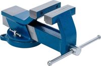 [58110BG] BGS - 58110 - Étau en acier forgé mâchoires 100 mm