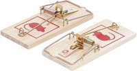 [80782BG] BGS - 80782 - Pièges à souris 2 pièces