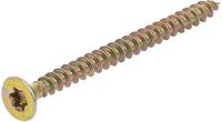 [80995BG] BGS - 80995 - Vis multifonctions profil en T (pour Torx) T20 4,0 x 50 mm 125 pièces