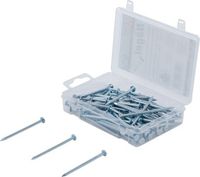 [88118BG] BGS - 88118 - Assortiment de clous 250 g 2,8 x 60 mm