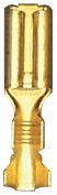 [A0006887] SHT COSSES NUES
