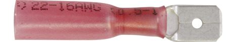 [A0225165] BLS LANGUETTES