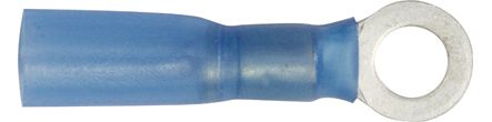 [A0225169] BLS COSSES THERMO