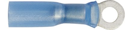 [A0017257] SHT COSSES THERMO
