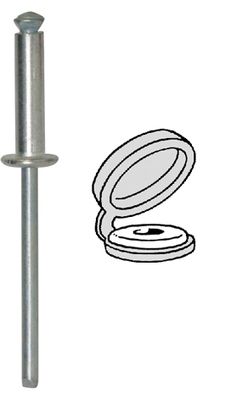 [A0004996] BTE RIV CHAPO