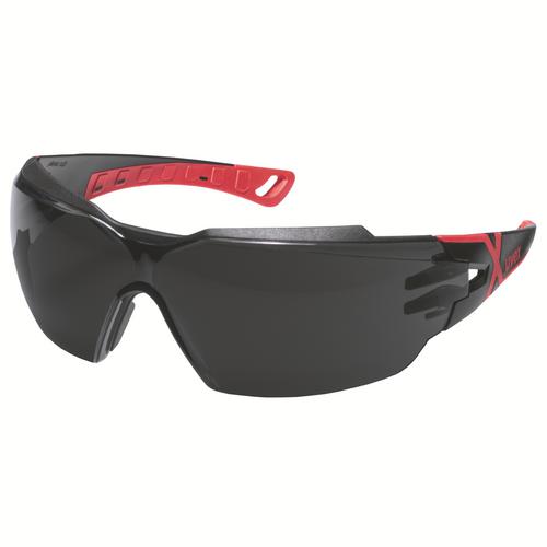 [9198.175] 9198175 - Lunettes à  branches uvex pheos cx2 gris, protection contre les infrarouges5,0 inf. plus 