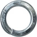 [A0000572] SHT RONDELLES